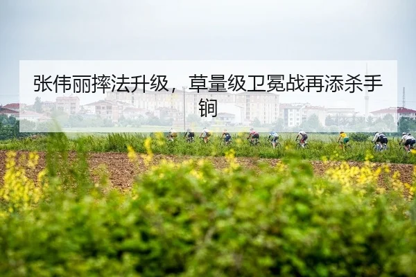 张伟丽摔法升级，草量级卫冕战再添杀手锏